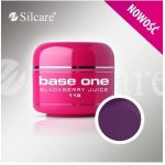 112 Blackberry Juice = 97F NTN base one żel kolorowy gel kolor SILCARE 5 g  blushing geisha
